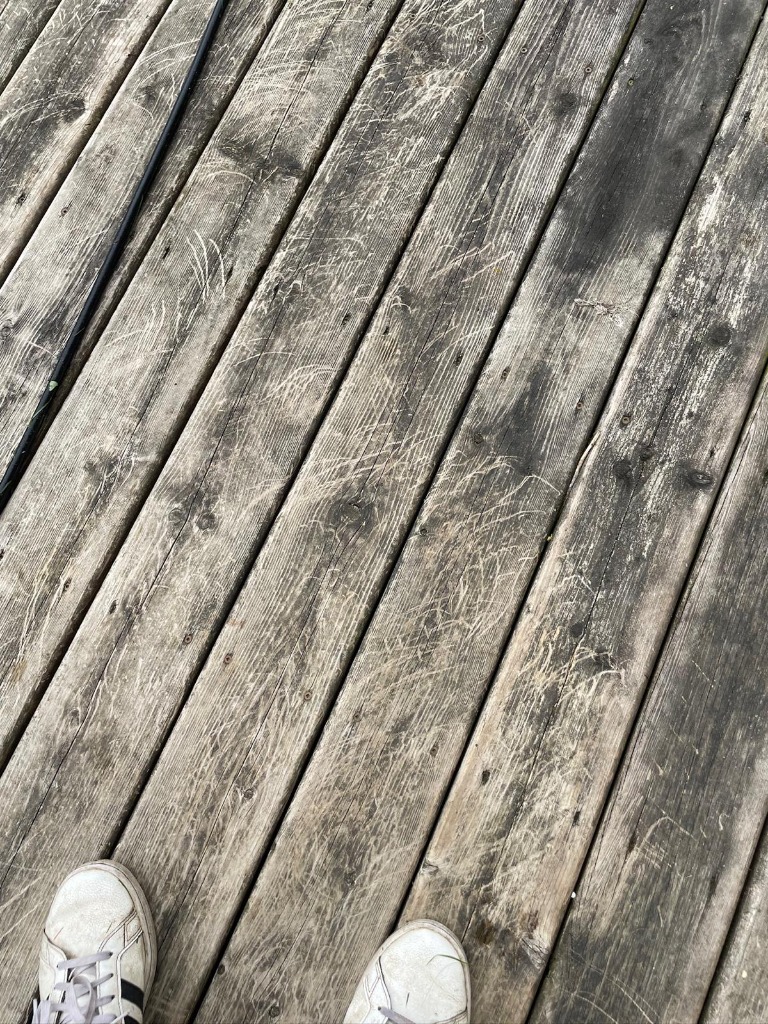 London Ontario deck after pressure washing and stripping — mid-restoration stage by Core Exteriors