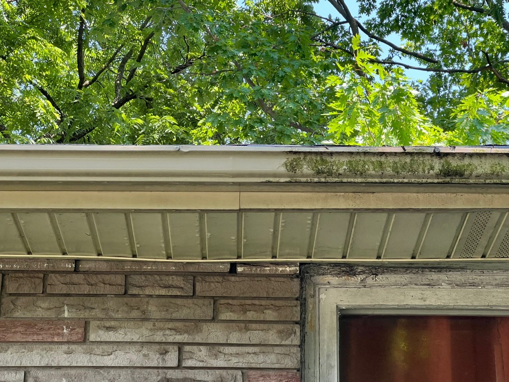 Clogged eavestroughs packed with leaves in Oakridge London Ontario before professional gutter cleaning