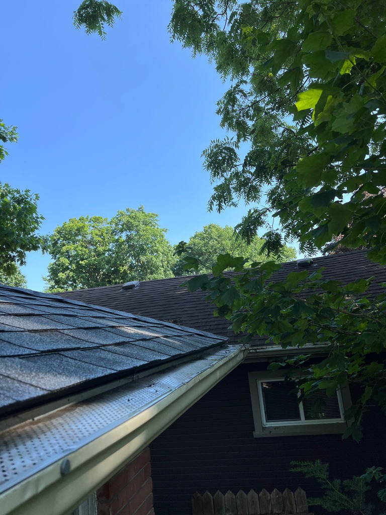 Clogged eavestroughs filled with debris in Wortley Village London Ontario before professional gutter cleaning