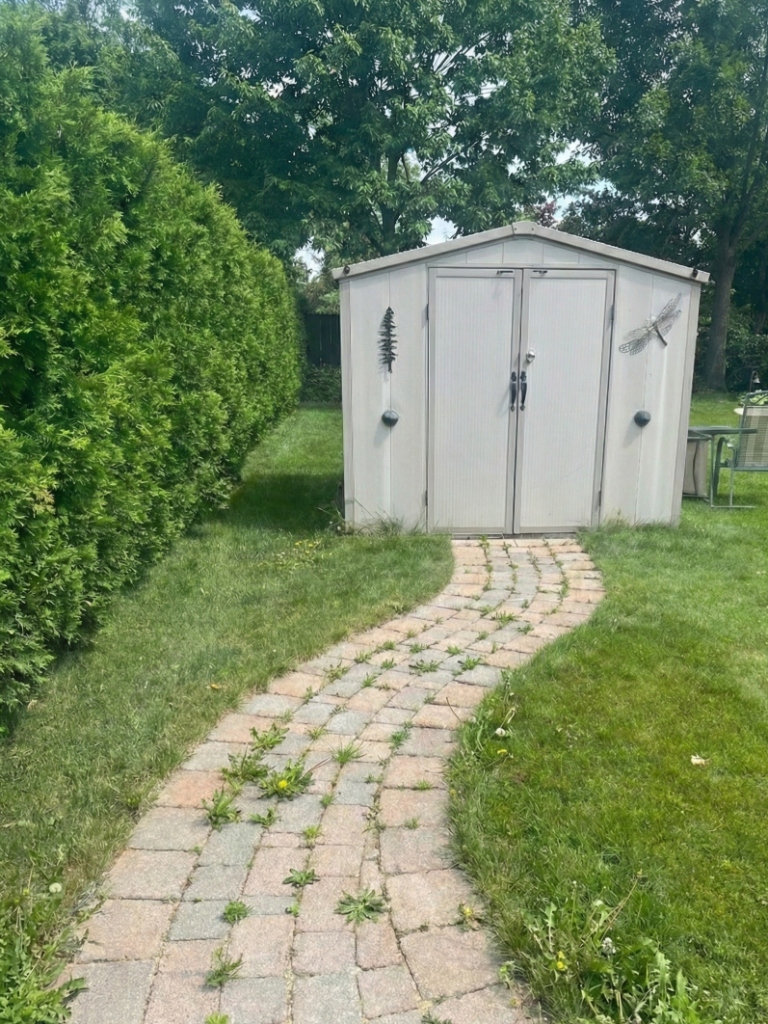 Stained algae-covered interlocking paver walkway in Westmount London Ontario before professional pressure washing