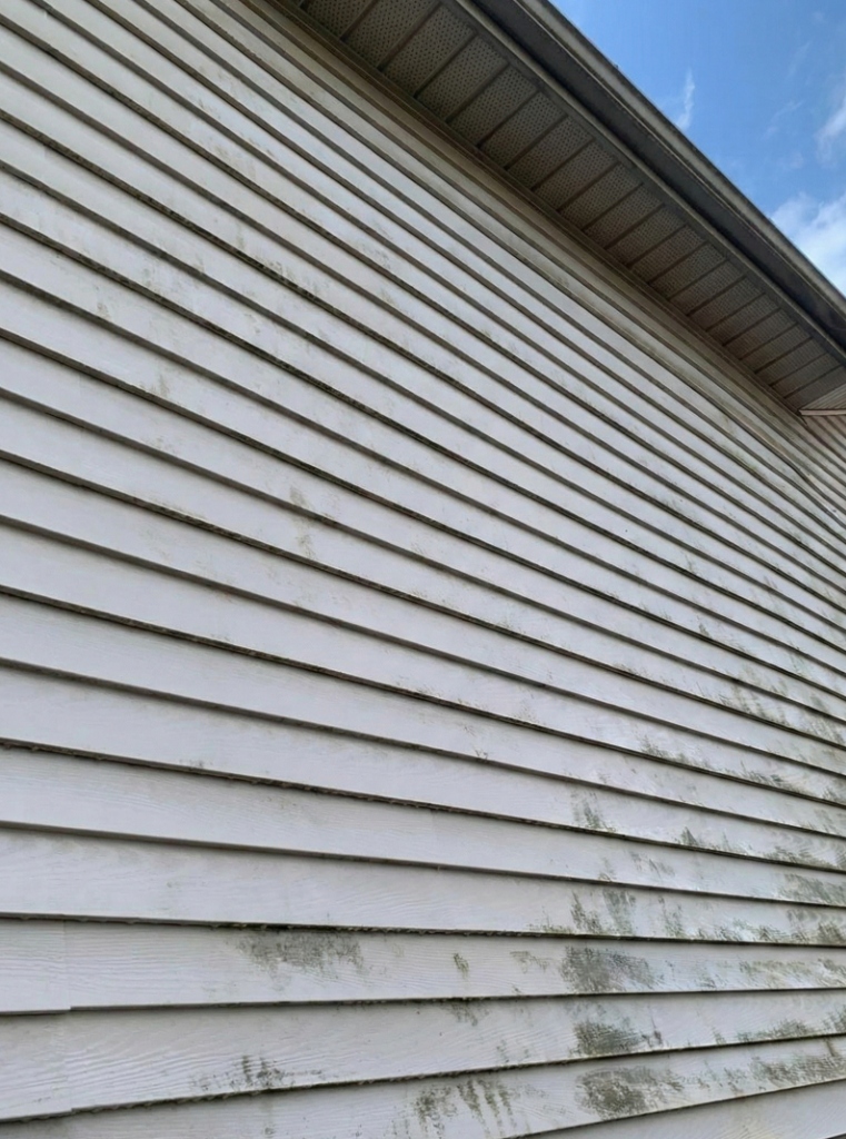 Algae-streaked vinyl siding on a Masonville London Ontario home before professional soft wash cleaning